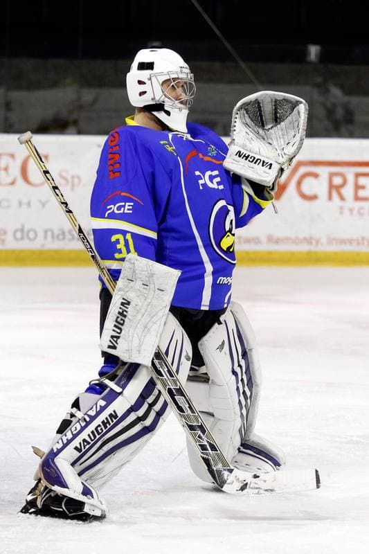 Ice Hockey. Polska Hokej Liga. GKS Tychy - Orlik Opole. 13.01.2017