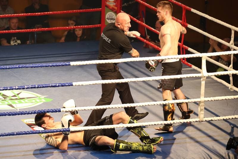 Kickboxing. WKN Challenge. Gala. 12.05.2017
