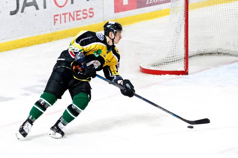 Ice Hockey. Polska Hokej Liga. SMS PZHL Katowice - JKH GKS Jastrzebie. 31.10.2017