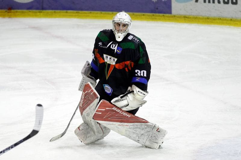 Ice Hockey. Tauron Hokej Liga. Anteo Naprzod Janow - GKS Tychy. 26.01.2018