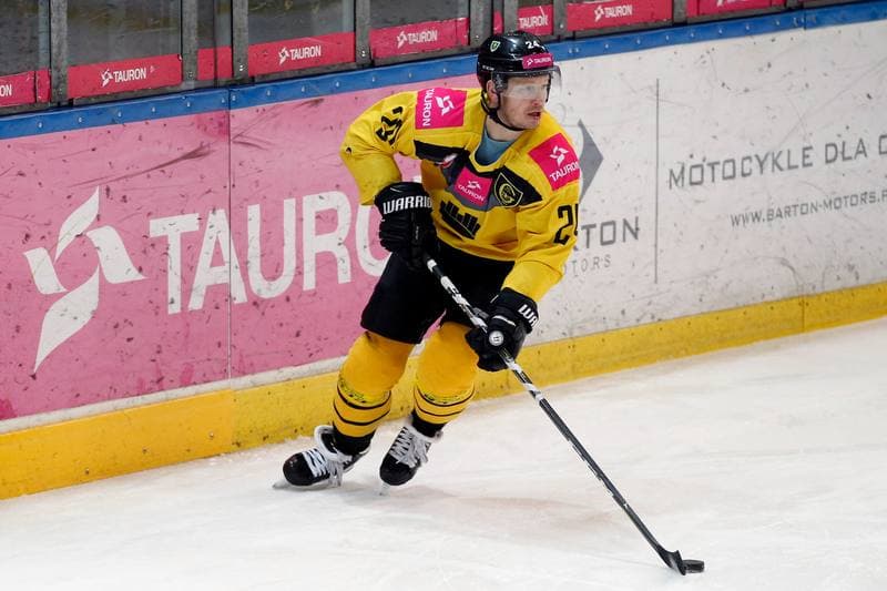 Ice Hockey. Polska Hokej Liga. Tauron KH GKS Katowice - PGE Orlik Opole. 25.02.2018