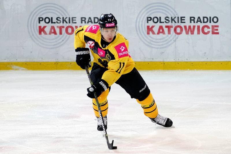 Ice Hockey. Tauron Hokej Liga. Tauron KH GKS Katowice - PGE Orlik Opole. 20.10.2017