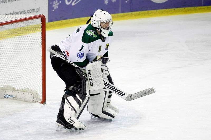 Ice Hockey. Tauron Hokej Liga. Anteo Naprzod Janow - GKS Tychy. 26.01.2018