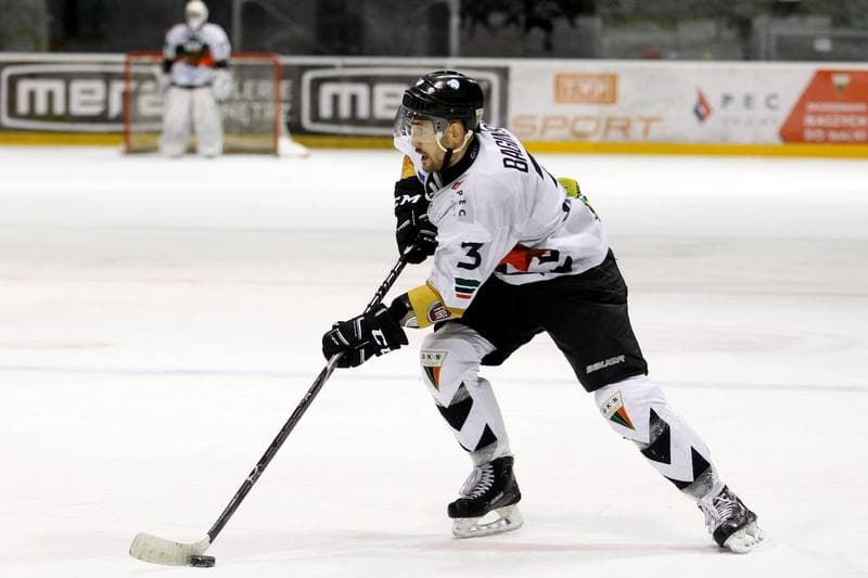 Ice Hockey. Polska Hokej Liga. GKS Tychy - PGE Orlik Opole. 13.01.2019