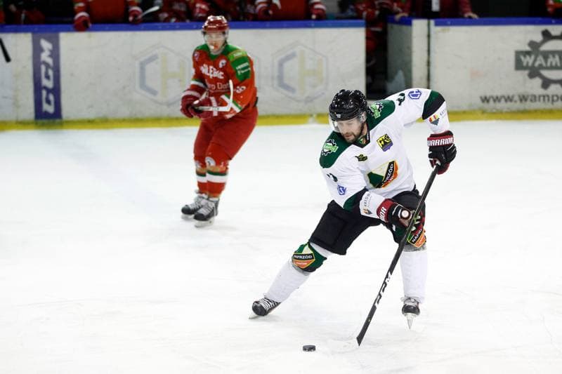 Ice Hockey. Polska Hokej Liga. Naprzod Janow - Zaglebie Sosnowiec. 23.02.2019