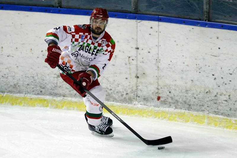 Ice Hockey. Polska Hokej Liga. Zaglebie Sosnowiec - MH Automatyka Gdansk. 02.01.2019