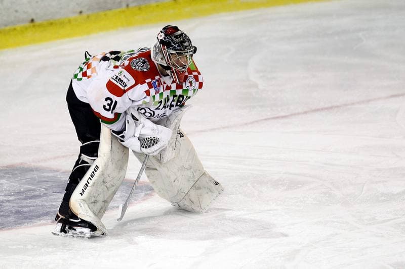 Ice Hockey. Polska Hokej Liga. Zaglebie Sosnowiec - Orlik Opole. 17.02.2019