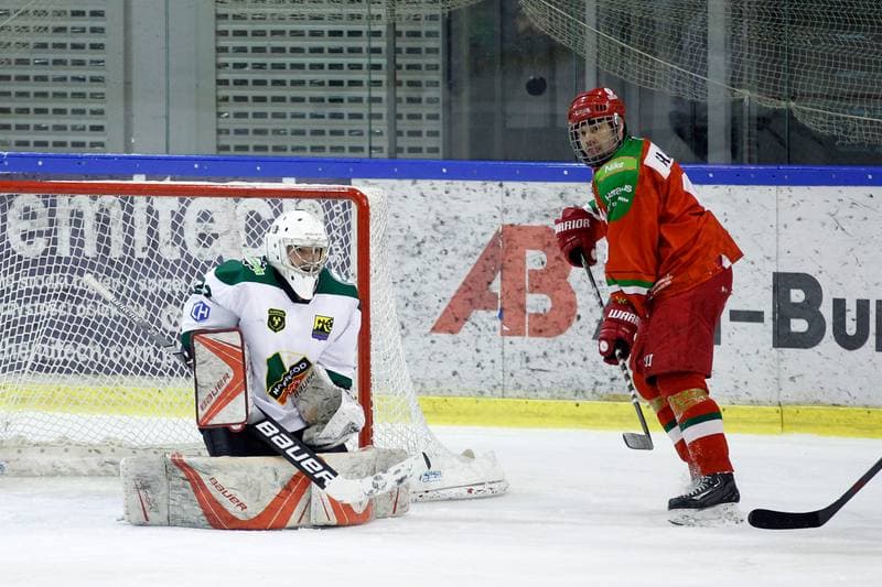 Ice Hockey. Polska Hokej Liga. Naprzod Janow - Zaglebie Sosnowiec. 23.02.2019