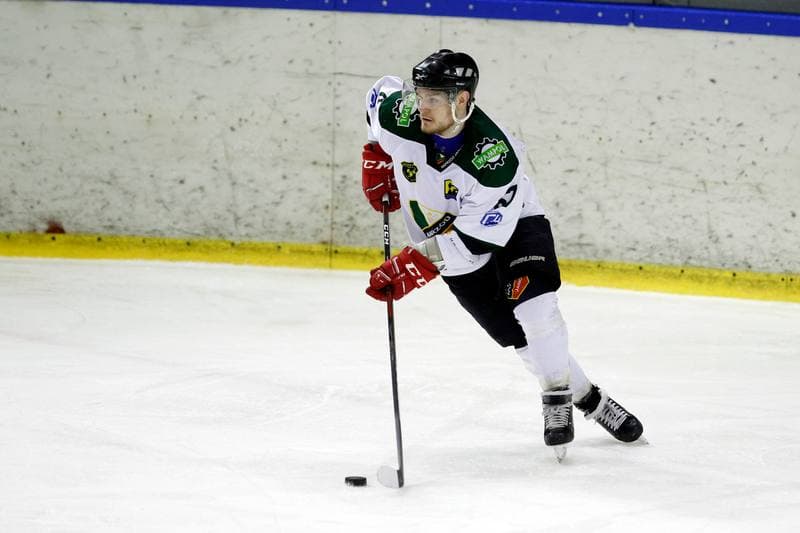 Ice Hockey. Polska Hokej Liga. Naprzod Janow - Orlik Opole. 01.03.2019