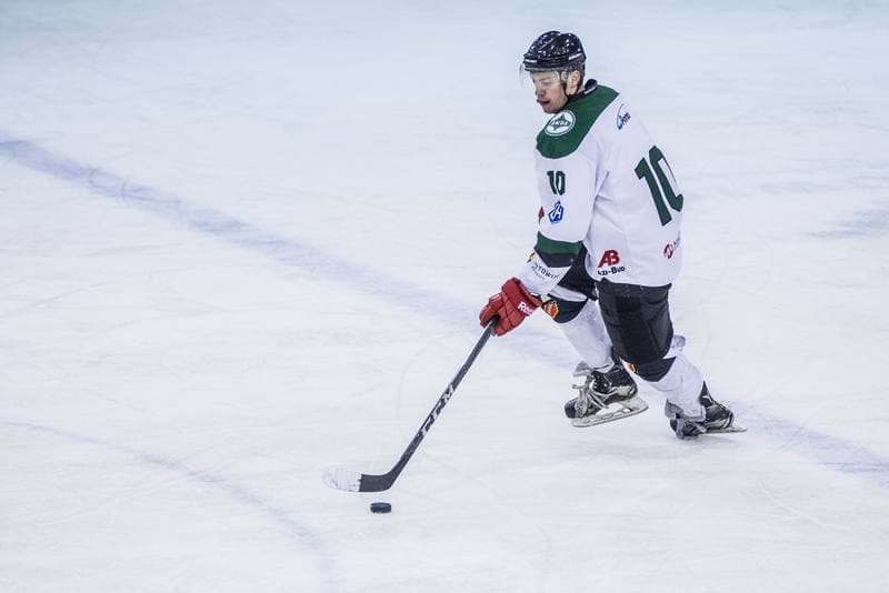 Ice Hockey. PHL. Naprzod Janow - Podhale Nowy Targ. 12.01.2020