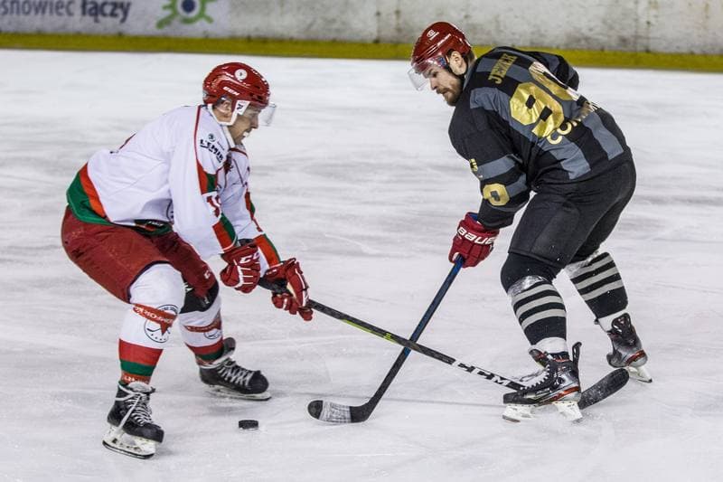 Ice Hockey. PHL. Zaglebie Sosnowiec - Comarch Cracovia. 15.12.2019