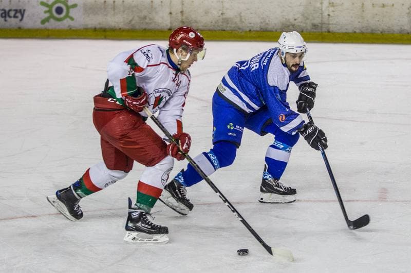 Ice Hockey. PHL. Zaglebie Sosnowiec - Re-Plast Unia Oswiecim. 12.01.2020