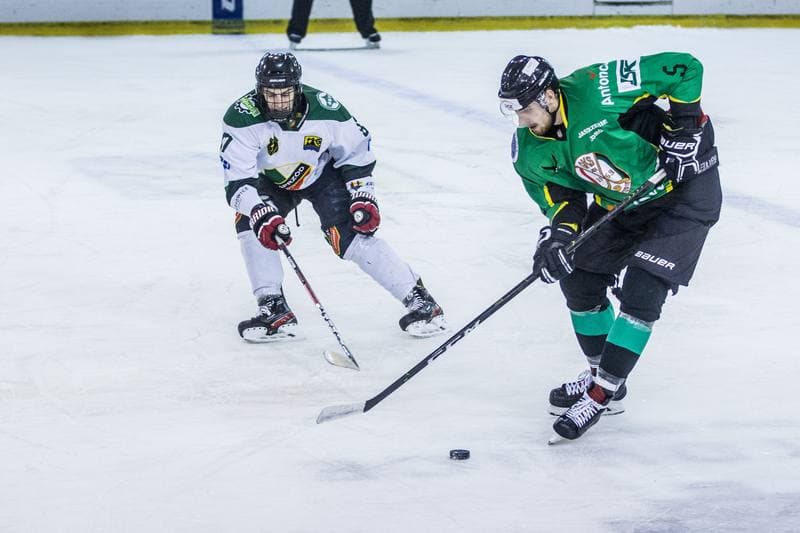 Ice Hockey. PHL. Naprzod Janow - JKH GKS Jastrzebie. 17.01.2020