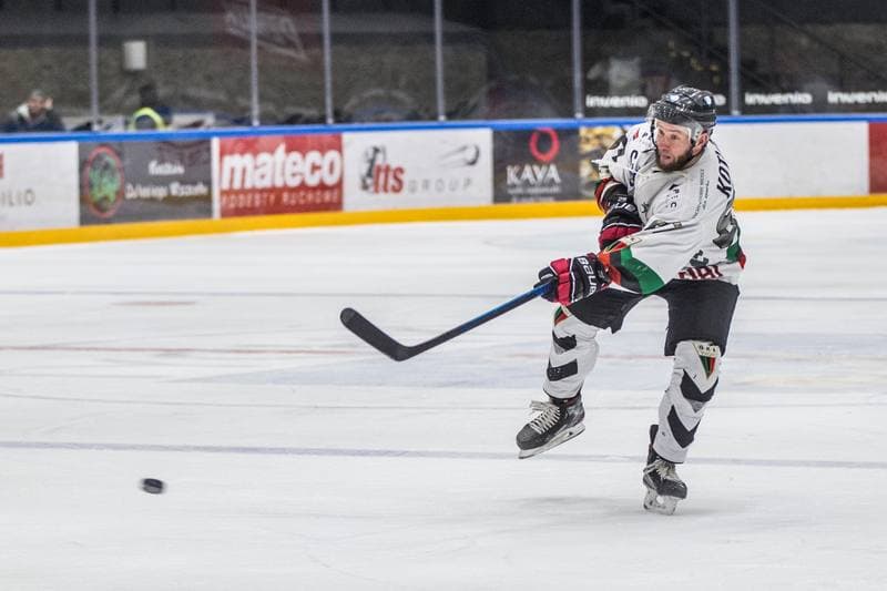 Ice Hockey. PHL. GKS Tychy - Naprzod Janow. 19.01.2020
