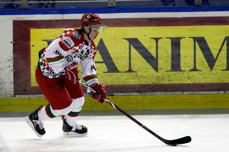 Ice Hockey. Polska Hokej Liga. Zaglebie Sosnowiec - Orlik Opole. 17.02.2019