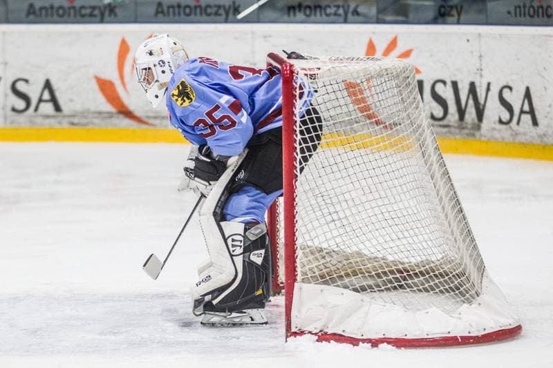Ice Hockey. PHL. JKH GKS Jastrzebie - Stoczniowiec Gdansk. 17.01.2021