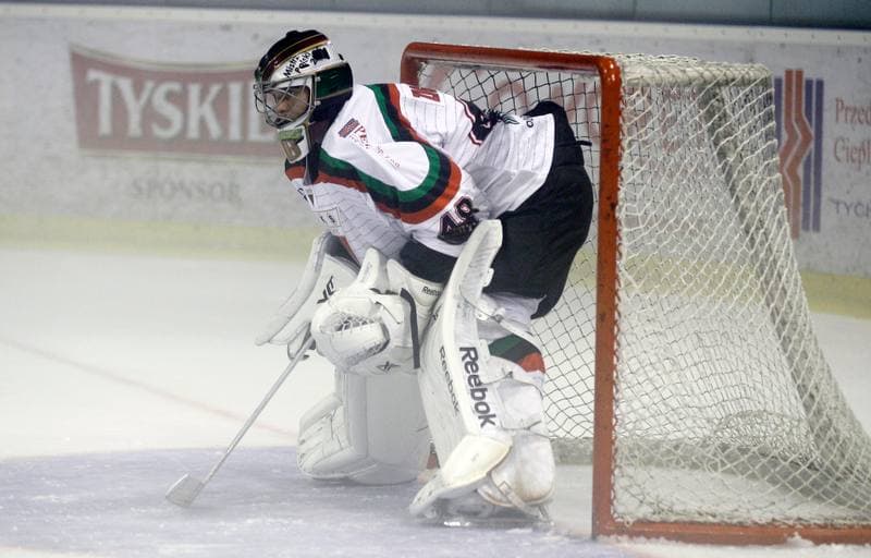 Ice Hockey. Polska Hokej Liga. GKS Tychy - Ciarko STS Sanok. 15.09.2015