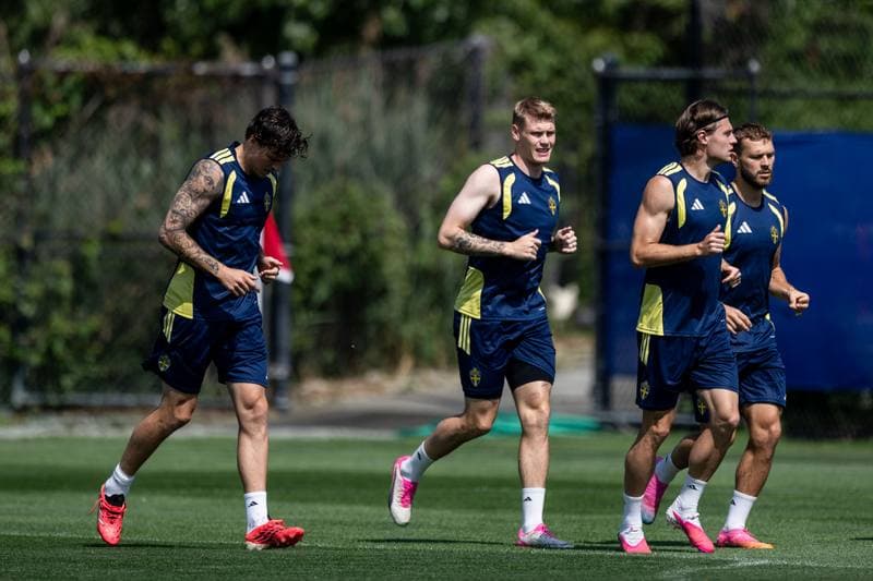 Football. FIFA World Cup 2026. Sweden. Training. 29.06.2026