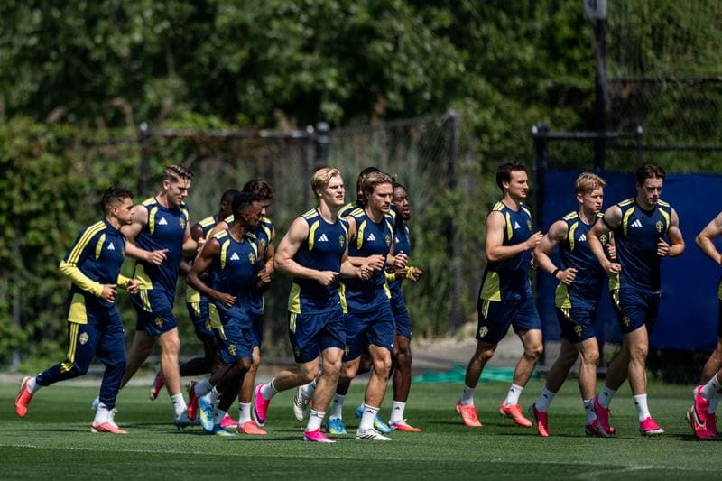 Football. FIFA World Cup 2026. Sweden. Training. 29.06.2026