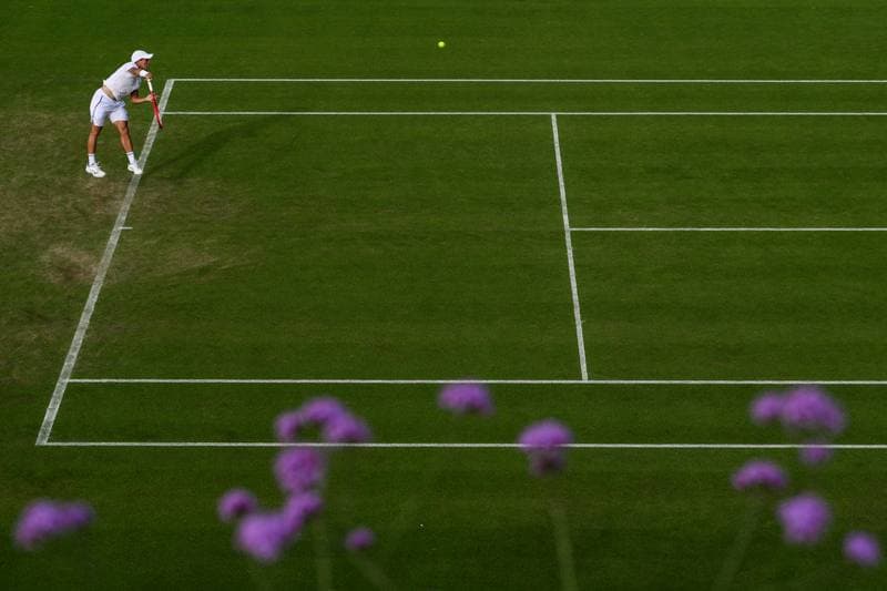 Tennis. Wimbledon 2026. 29.06.2026