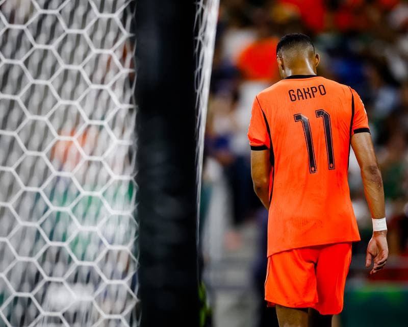 Football. FIFA World Cup 2026. Netherlands - Morocco. 29.06.2026