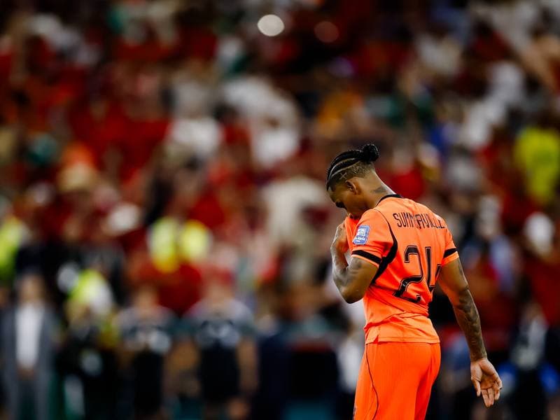 Football. FIFA World Cup 2026. Netherlands - Morocco. 29.06.2026