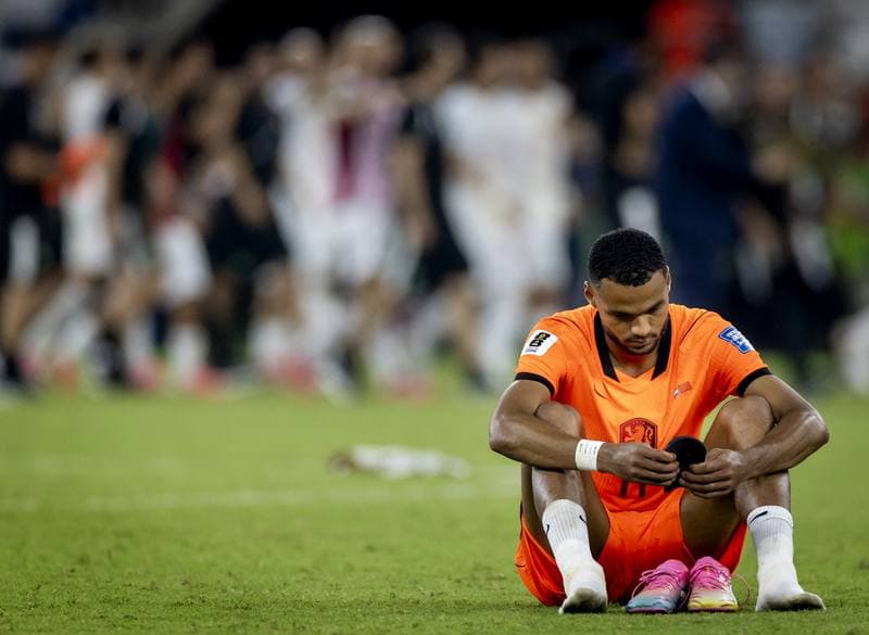 Football. FIFA World Cup 2026. Netherlands - Morocco. 29.06.2026